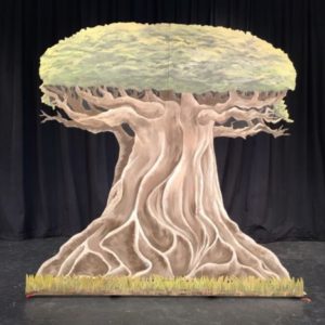 Acacia Tree