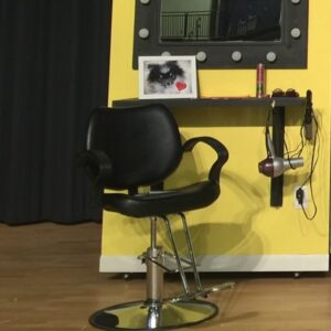 Beautician's Chairs