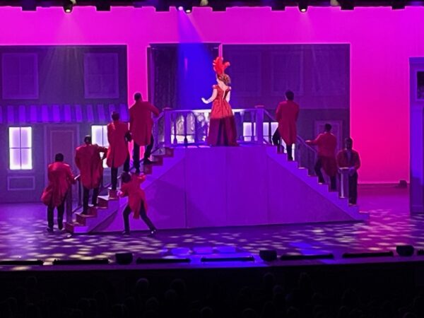 Dolly's Transformable Stairway w/platform