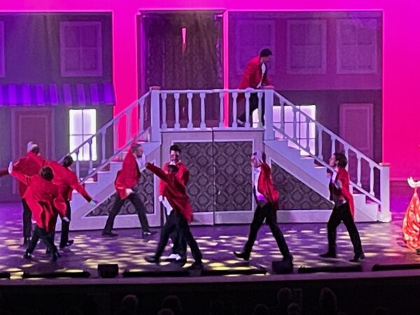 Dolly's Transformable Stairway w/platform
