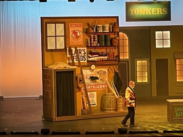 Set of 4 Reversible Houses
